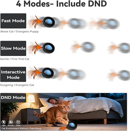 Interactive Cat Toy with Motion Activated Ball & 7-Hole Play Mat, Hide and Seek Exercise Game for Indoor Cats, Automatic Moving Cat Ball in Pouch, Rechargeable Kitten Toys (Starry Night)