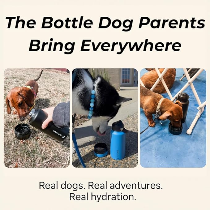 HydraNest Dog Water Bottle 32oz - Insulated Portable Pet Hydration for Beach & Camping - Travel Bowl Included - Thoughtful Gift for Pet Parents and Animal Lovers