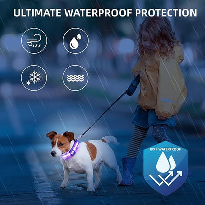 Super Bright LED Dog Collar - Fully Waterproof & Adjustable Glow Collar - USB-C Rechargeable for Night Walking, Safety - Flashing Lighted Collar for Dogs(Purple,Small)