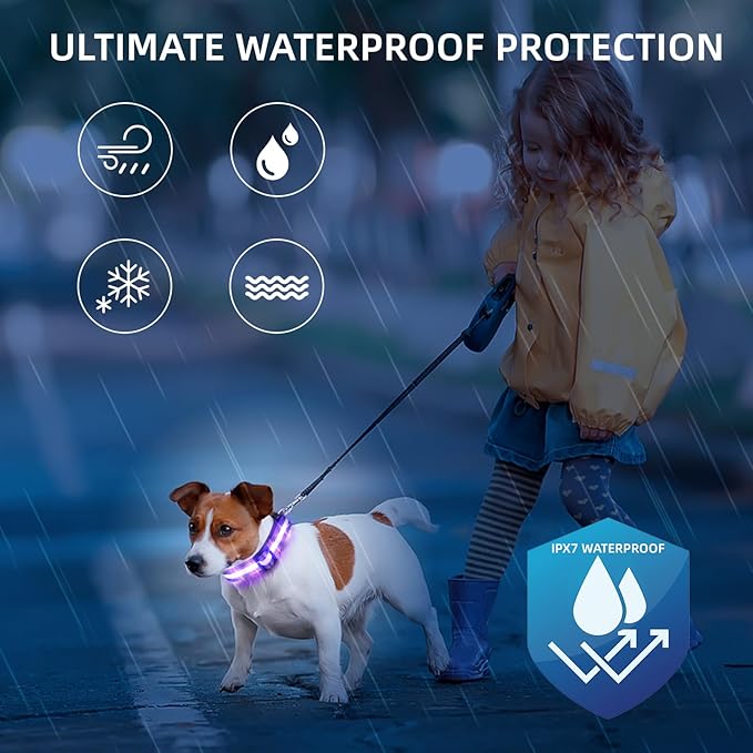LED Dog Collar for Small Dogs Cats - Fully Waterproof & Adjustable Glow Collar - USB-C Rechargeable for Night Walking, Safety - Flashing Lighted Collar for Dogs(Purple,S)