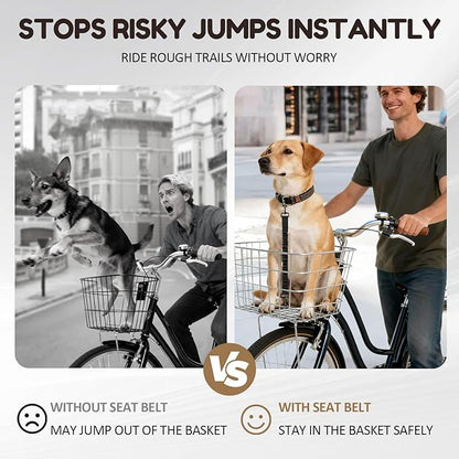 2Pack Dog Seat Belt for Bike Basket,Retractable Pupper Leash for Bike Basket,Canine Bikes Basket Leash,Elastic Pet Seat Belt for Dogs,Seatbelt Leashs for Dogs (Black)