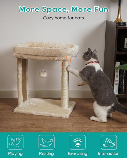 SYANDLVY Small Cat Tree for Indoor Cats, Scratching Board with Perch, Scratching Post for Small Cats, Kittens Scratcher with 2 Dangling Balls, Beige