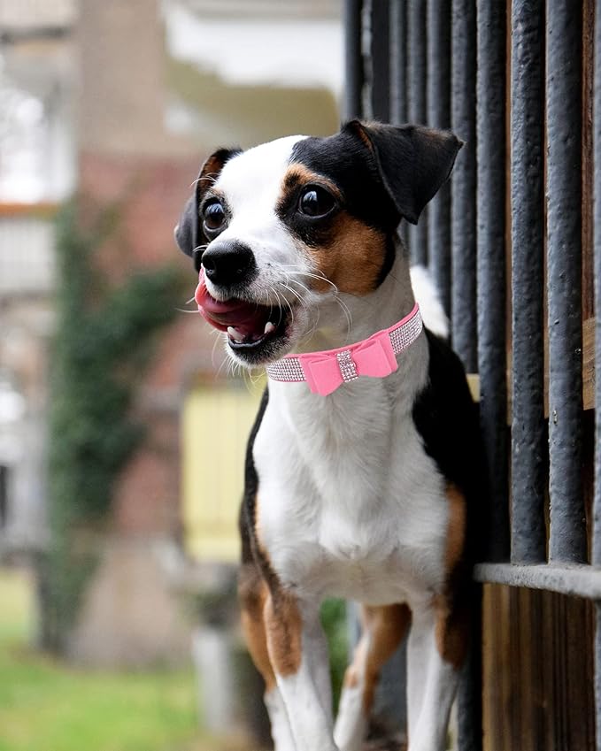 Bling Dog Collar for Small Medium Large Dogs, Crown Rhinestone Dog Collars for Girl and boy Dog, Diamond Puppy Collars, Adjustable Leather Suede SOFE Cat Collar (XS(8.2"-10.6"/21CM-27CM), Pink3)