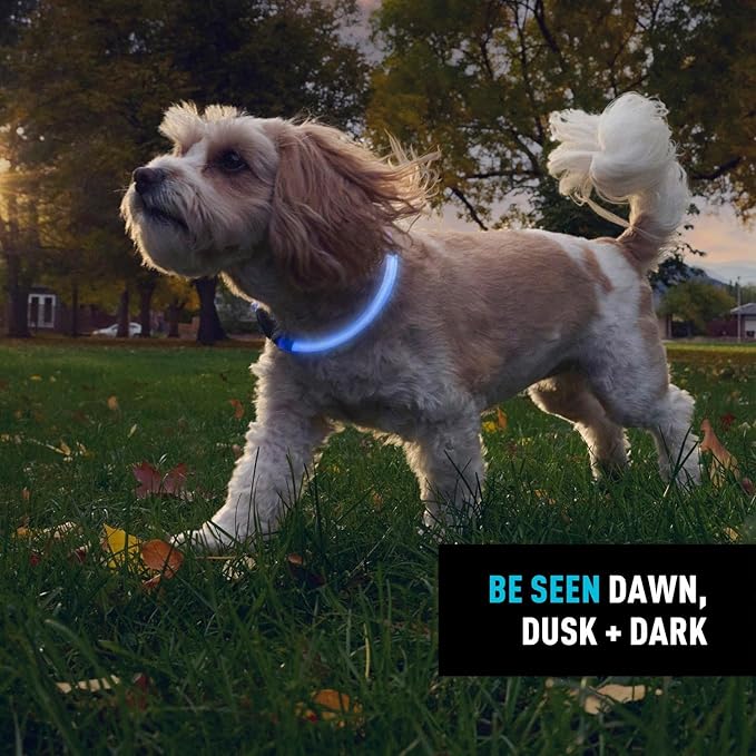 Nite Ize NiteHowl Rechargeable LED Safety Necklace - Dog Light for Dog-Walking Gear - Weather-Resistant Design - 5 Hours Runtime - Cut to Fit from 12” to 27” - Blue