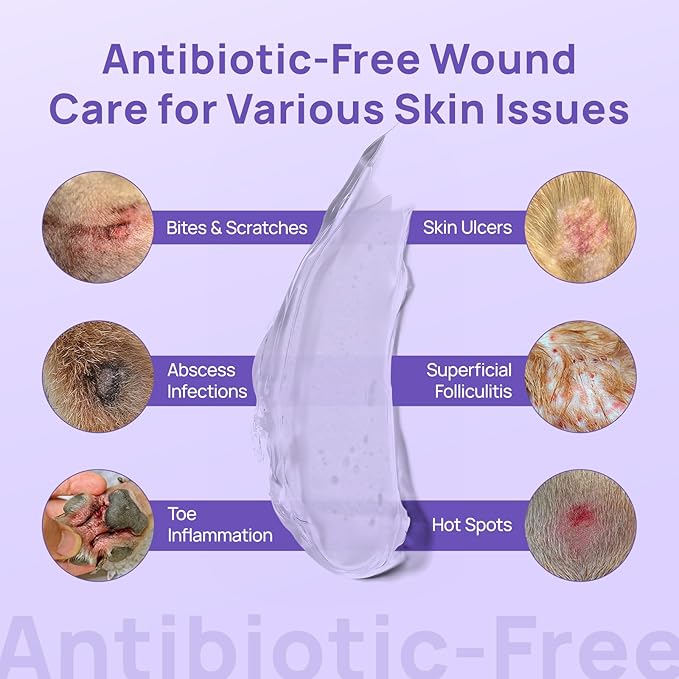 HICC PET Dog Wound Care Hydro Gel, Heals Wounds, Hot Spot Treatment for Dogs, Soothes Inflammation, Prevents Infection, Treats Bites, Scratches & Skin Ulcers, Cat Horse Wound Care Solution, 2 Packs