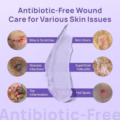 HICC PET Dog Wound Care Hydro Gel, Heals Wounds, Hot Spot Treatment for Dogs, Soothes Inflammation, Prevents Infection, Treats Bites, Scratches & Skin Ulcers, Cat Horse Wound Care Solution, 2 Packs