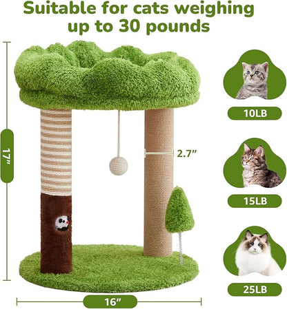 WOOCHPET Small Cat Tree with Perch Cat Bed and Removable Cover 23 inch Tall Cat Tower with 2 Scratching Sisal Scratching Posts and Cat Toys for Kittens and Adult Cats（Green）