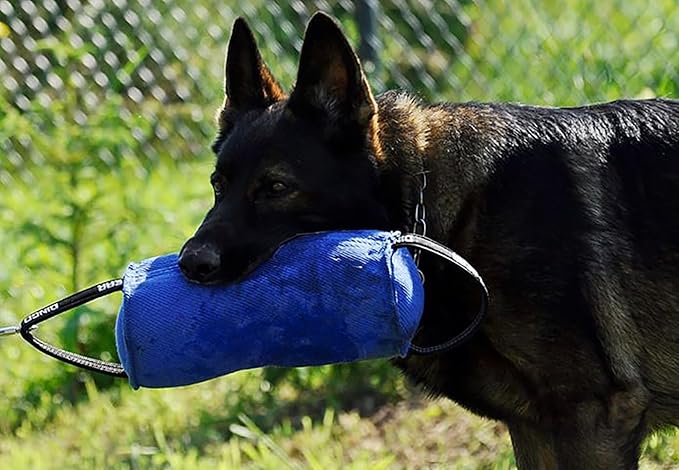 Dingo Gear Dog Tug Toy for Strong Dog, Bite Training, IGP, Fun, French Linen Candy, 12x5,5" Blue Berta S00097