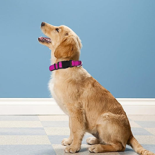 Reflective Dog Collar, Adjustable Soft Neoprene Padded Nylon Pet Collars with Buckle for Small Dogs, Rose Red,S