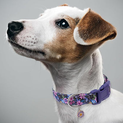 Faygarsle Cotton Dog Collar Cute Dog Collars for Small Medium Large Dogs Purple Floral Colored Options Soft and Fancy Pet Collars for Girls Flower Pattern for Girl Dog Collar L