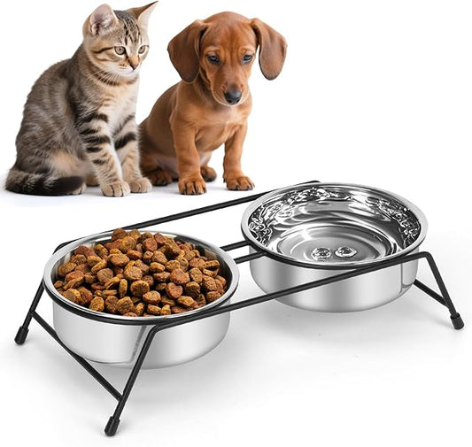 Raised Cat Bowls Cat Feeder Holders 2 Stainless Steel Elevated Pet Water Food Bowl for Cats Puppies Rabbits (2 Bowls)
