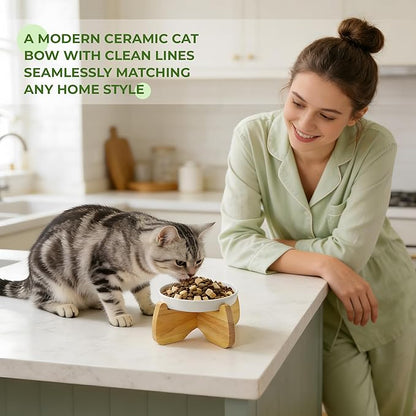 Raised Cat Bowls, 6.3'' Wide Shallow Elevated Cat Food Bowls, Ceramic Anti Vomit Tilted Pet Feeder with Stand, Anti Whisker Fatigue Neck Protective Feeding Dish for Kittens & Seniors (2 Pack)