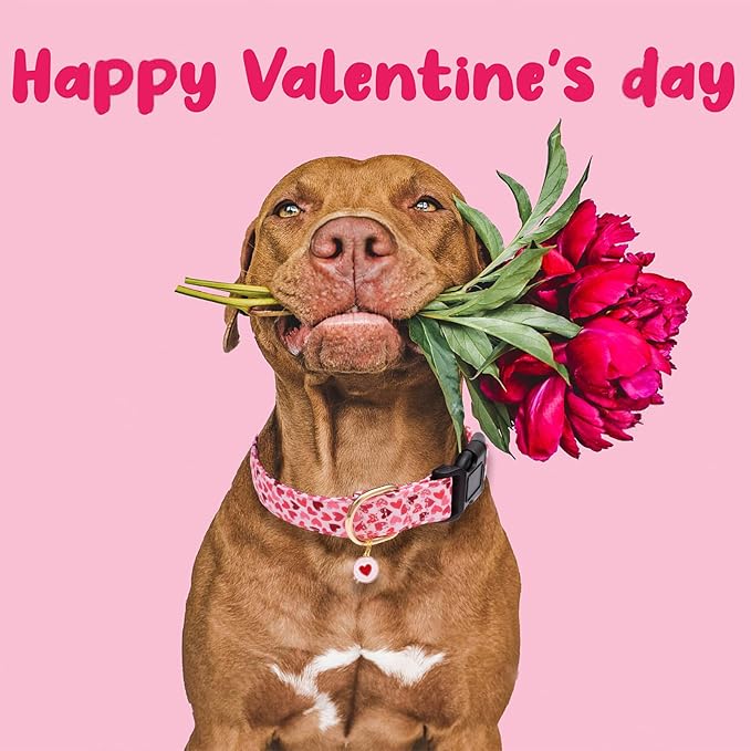Faygarsle Valentine's Day Cute Loving Heart Printed Collar for Small Medium Large Dogs - Pink Cotton Collar for Girl and Boy Dogs