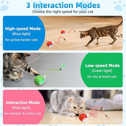 Interactive Cat Toys for Indoor Cats, Automatic Kitten Toys for Bored Indoor Adult Cats, Smart Kitten Rolling Ball Moving Balls Toy, Rechargeable Cat Ball for Enrichment Exercise (Red+Green)