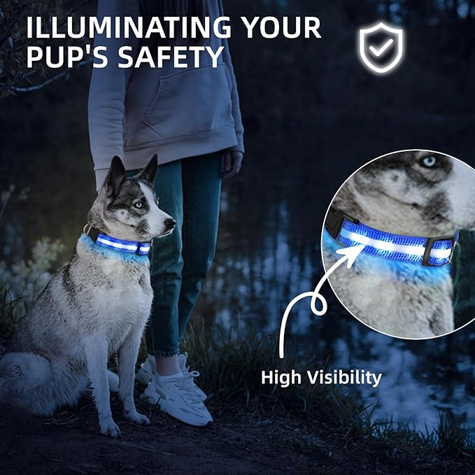 LED Dog Collar for Small Dogs Cats - Fully Waterproof & Adjustable Glow Collar - USB-C Rechargeable for Night Walking, Safety - Flashing Lighted Collar for Dogs(Blue,XS)