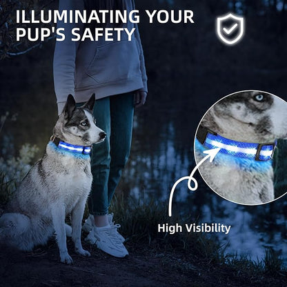 LED Dog Collar for Small Dogs Cats - Fully Waterproof & Adjustable Glow Collar - USB-C Rechargeable for Night Walking, Safety - Flashing Lighted Collar for Dogs(Blue,XS)