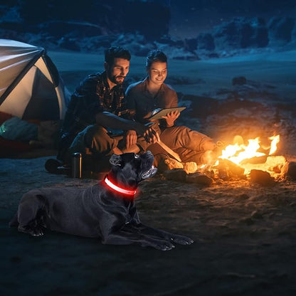 Illumifun Light Up Collar for Small Dogs, USB Rechargeable LED Dog Collar Glowing in The Dark, Safety Collar Light for Your Pups (Red, Small)