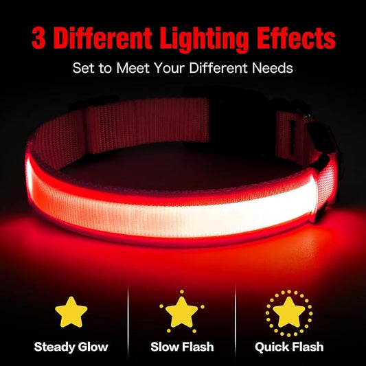 Illumifun LED Dog Collar, USB Rechargeable Light Up Dog Collars, Flashing Safety Dog Collar Glow in The Dark (Red, Medium)