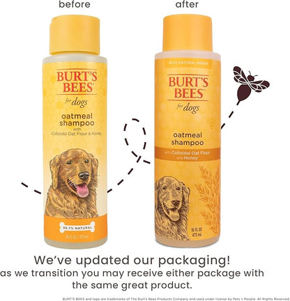 Burt’s Bees for Pets Oatmeal Dog Shampoo with Honey, Soothing Dog Shampoo for Itchy and Sensitive Skin, pH Balanced Formula that Gently Cleans and Moisturizes Dog Coats, 16 Fl Oz - 6 Pack
