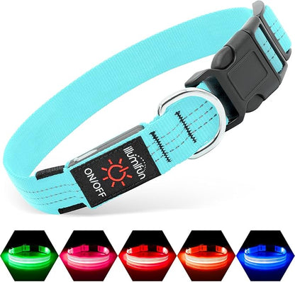 Illumifun LED Dog Collar - USB Rechargeable Dog Light Up Collar, Reflective Pet Collar Light Glow in The Dark (BlueⅢ, Medium)