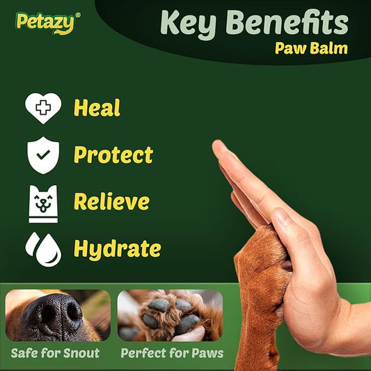 Everyday Dog Paw Balm for Dogs - Daily Paw & Nose Moisturizer, Prevents Dry Cracked Paws, Natural Paw Wax with Beeswax, Shea Butter, Coconut Oil, Wheat Germ, & Vitamin E