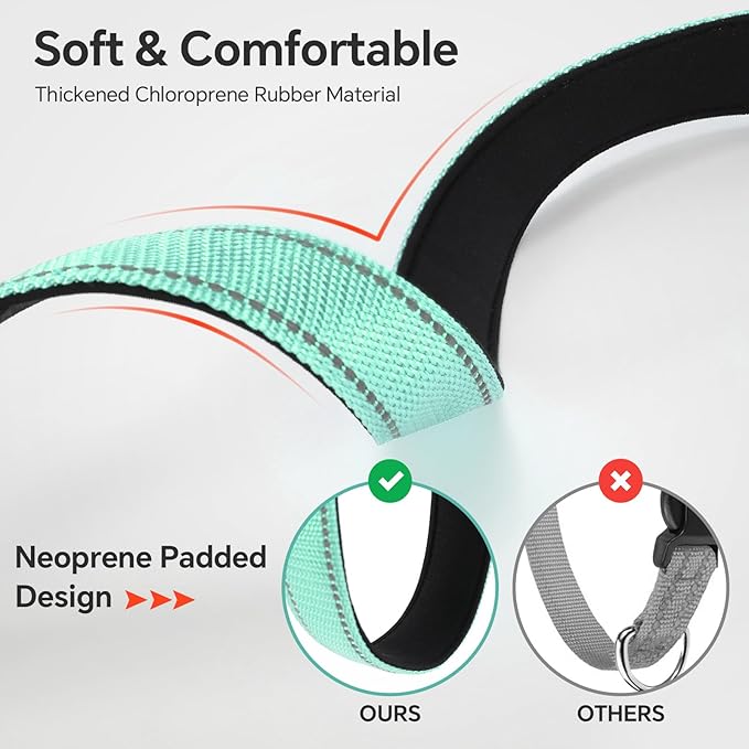 Reflective Dog Collar with Quick Release Buckle - Metal Ring - Adjustable Soft Neoprene Padded Basic Dog Collar for Small Medium Large Dogs (Teal, Medium :Width 1",Neck 13.8-19.6")