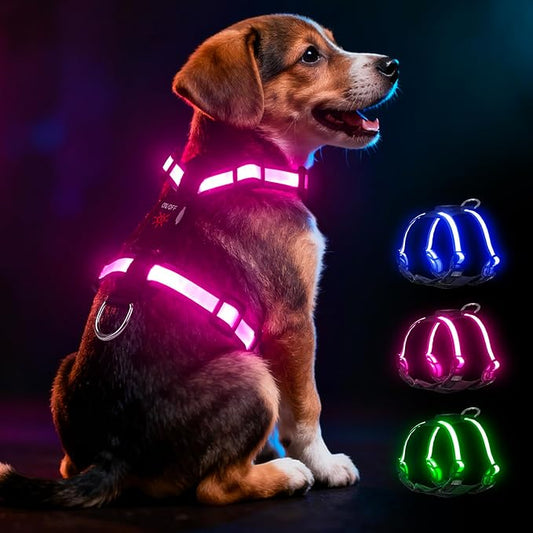 Light Up Dog Harness LED USB-C Rechargeable with Battery Indicator, Lighted Glow in The Dark Dog Harness Adjustable No-Pull Vest for Small Dogs, 7 Lighting Modes for Night Safety