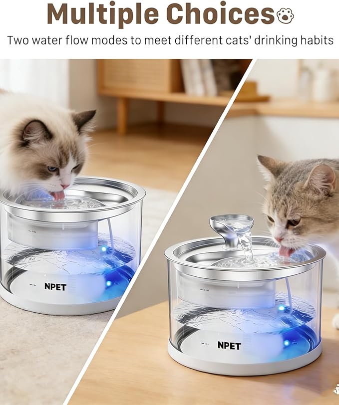 NPET N280 Cat Water Fountain Glass, 95oz/2.8L Automatic Pet Fountain Dog Stainless Steel Tray, Water Dispenser for Cats, Dogs, Multiple Pets (Water Fountain + 5 Filters)