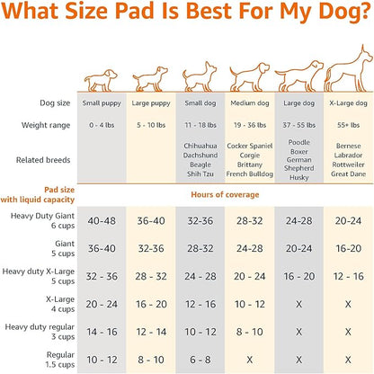 Amazon Basics Heavy Duty Dog and Puppy Pee Pads, Leak-Proof 5-Layer Ultra Absorbent, Quick-Dry Surface for Potty Training and Housebreaking, Regular Size, 24x23", Blue & White, 80 Count