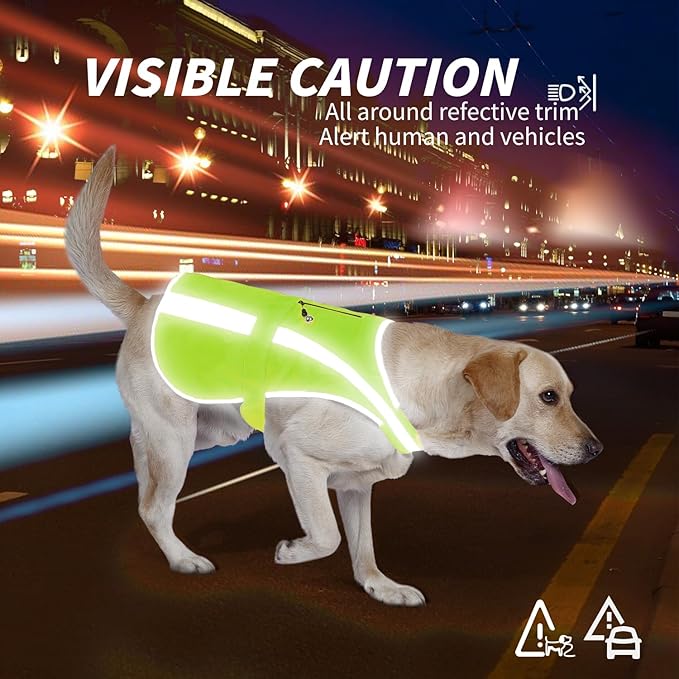 Reflective Dog Vest for Medium and Large Breeds, High Visibility Dog Safety Vest with Removable Bell Keep Safe from Hunting, Training & Cars Accidents