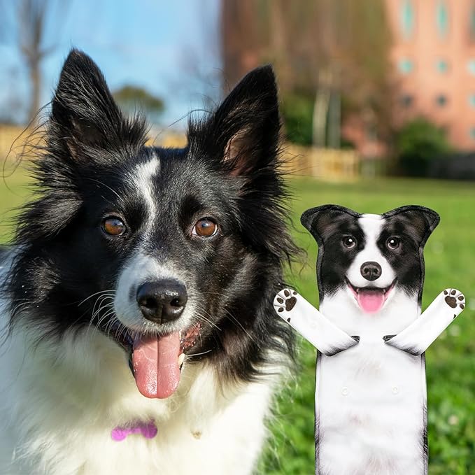 AGRIMONY Border Collie Dog Funny Hand Towels for Kitchen Bathroom-Dog Mom Dad Gifts for Women Men Teens Kids-Easter Mothers Fathers Days Valentines Housewarming Birthday Gifts for Animals Lovers