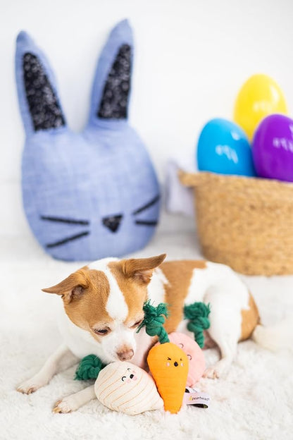 Pearhead Spring Garden Veggies Dog Toys, Easter Plush Squeaky Rope Dog Toys, Radish Carrot & Turnip Vegetable Dog Toy Set, Pet Easter Basket Gift, Set of 3