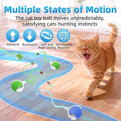 Interactive Cat Toys for Indoor Cats, Automatic Kitten Toys for Bored Indoor Adult Cats, Smart Kitten Rolling Ball Moving Balls Toy, Rechargeable Dog Cat Ball for Enrichment Exercise (Green+Blue)