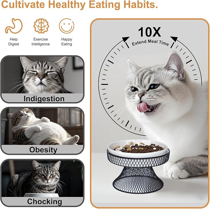 Elevated Ceramic Cat Slow Feeder Bowl Raised Cat Food Bowl with Stand, Detachable pet Bowl Design for Wet Food and Dry Food, Whisker Friendly Pet Puzzle Feeder for Kitten and Small Dog