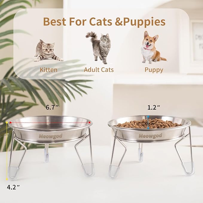 Elevated Cat Bowls,6.7" Extra Wide Raised Stainless Steel Cat Food Bowls with Anti-Slip Metal Stand Whisker Friendly Water Dishes for Indoor Cats and Small Dogs-2pack
