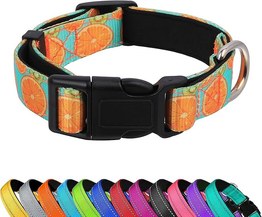 Reflective Dog Collar, Adjustable Soft Neoprene Padded Nylon Pet Collars with Buckle for Puppy and Small Dogs, Cats, Summer Lemon,M