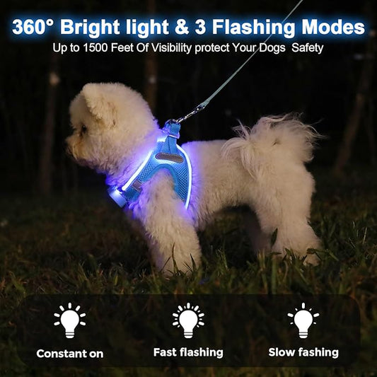 Light Up Dog Harness,Rechargeable LED Dog Harness for Small Medium Large Dogs,Reflective Lighted Safety Vest for Night Walking & Camping,Lightweight & Adjustable,Sky Blue,S