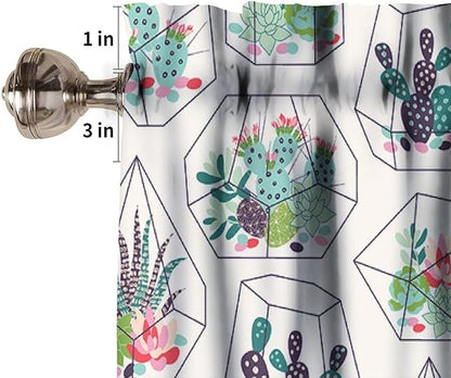 Bohemian Plants Window Valance Curtains, Green Houseplant Succulents Cactuses Boho Tropical Indoor Plant Potted Flower Valance Curtain for Farmhouse Bedroom Living Room Kitchen 54x18inch