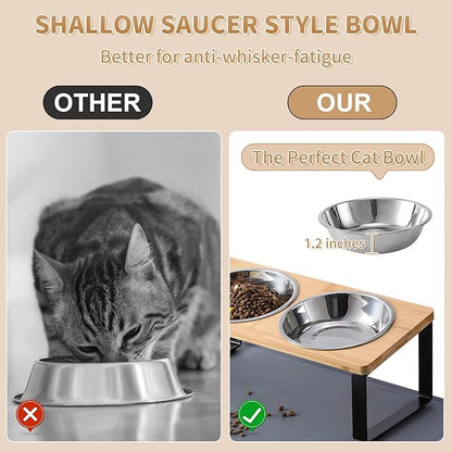 Upgraded Elevated Cat Bowls with Food Mat,15°Tilted Stand Anti Vomiting Raised Cat Dishes for Food and Water,2 Stainless Steel Bowls for Cats and Puppy