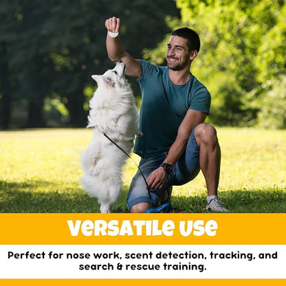 Ink Oil Scent Work Tins - Dog Scent Training Kit - Nosework Detection & Enrichment Scent for Home, Professional Pet Trainers - Reusable Tins with Magnets for Easy Hiding – Bite-Resistant –10 Pcs Set