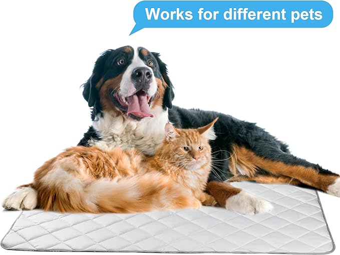 Dog Cooling Mat, Washable Dogs Cats Pet Non-Toxic Cooling Pads Summer Sleeping Kennel Mats，Pet Self Cool Ice Blanket for Indoor & Outdoor Dog Beach Essentials Light Gray Medium