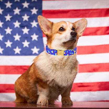 4th of July Dog Collar, Blue Flag Popsicle Patriotic Pet Collar with Metal Buckel, Adjustable Summer Holiday Dog Collars for Small Medium Large Dogs XS