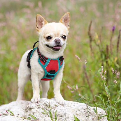 rabbitgoo Dog Harness No Pull with 2 Leash Clips, Adjustable Soft Padded, Reflective Oxford No Choke Pet Vest with Easy Control Handle for Puppy, Red & Teal, XS