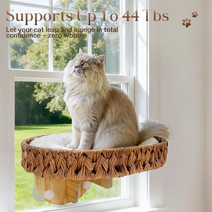 2-in-1 Cat Window Perch and Wall Shelves with Solid Wood, Wicker Window Perch for Cats Inside with 4 Upgraded Suction Cups, 16.1" Washable Cushion Cat Perches Bed for Sleeping and Watching Birds