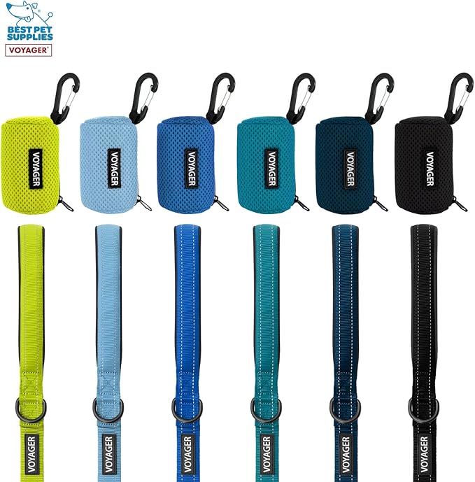 Best Pet Supplies 2-Pack Dog Poop Bag Holder Leash Attachment, Color, Reusable Mesh Dispenser Pouch for Travel, Walking, Park, and Outdoor Use, Soft and Durable with Clip-On - Mesh Purple