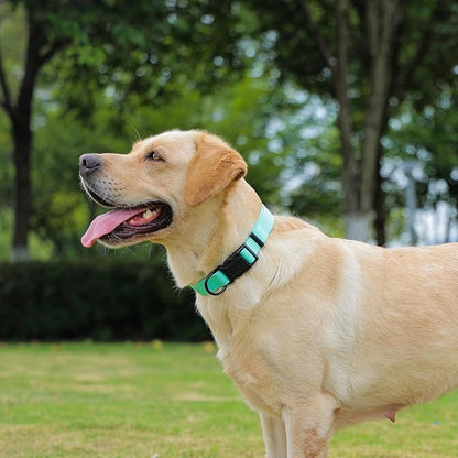 Waterproof Dog Collar, Easy to Clean Rubber Dog Collars with Quick Release Buckle Fits Small Medium or Large Dogs (Mint Green, S < 9.5-14.1 inch)
