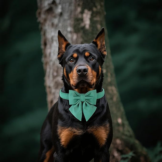 Maca Bates Jade Green Dog Collar with Cute Solid Sailor Bow Tie for Small Girl Boy Dogs,Adjustbale Durable Breakaway Soft Collars with Bowtie for Female Male Puppy,Pet with Metal Buckle