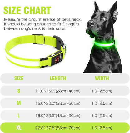 Illumifun LED Dog Collar, USB Rechargeable Light Up Collar, Flashing Pet Safety Light Glow in The Dark (Green, X-Large)