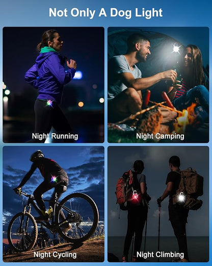 2 Pack Dog Collar Light, 4 Modes Clip On Dog Lights for Night Walking, Glow in The Dark LED Pet Collar Charm, Rechargeable Pet Camping Essentials for Nighttime Running, Cycling, Hiking(White)
