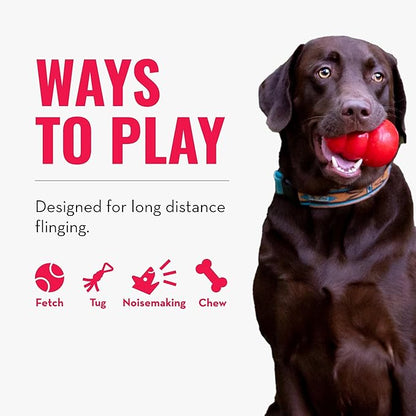 KONG Wubba Finz - Dog Toy for Tug of War & Fetch - Dog Supplies for Puppy & Dog Playtime - Outdoor & Indoor Dog Toy (Blue, Small)